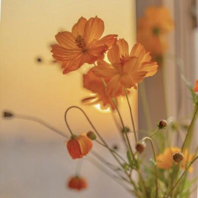 博鱼·体育中国入口下载手机版