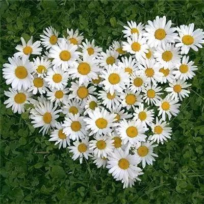 腾讯分分彩登录